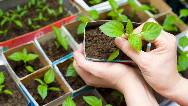 Изображение с продукцией